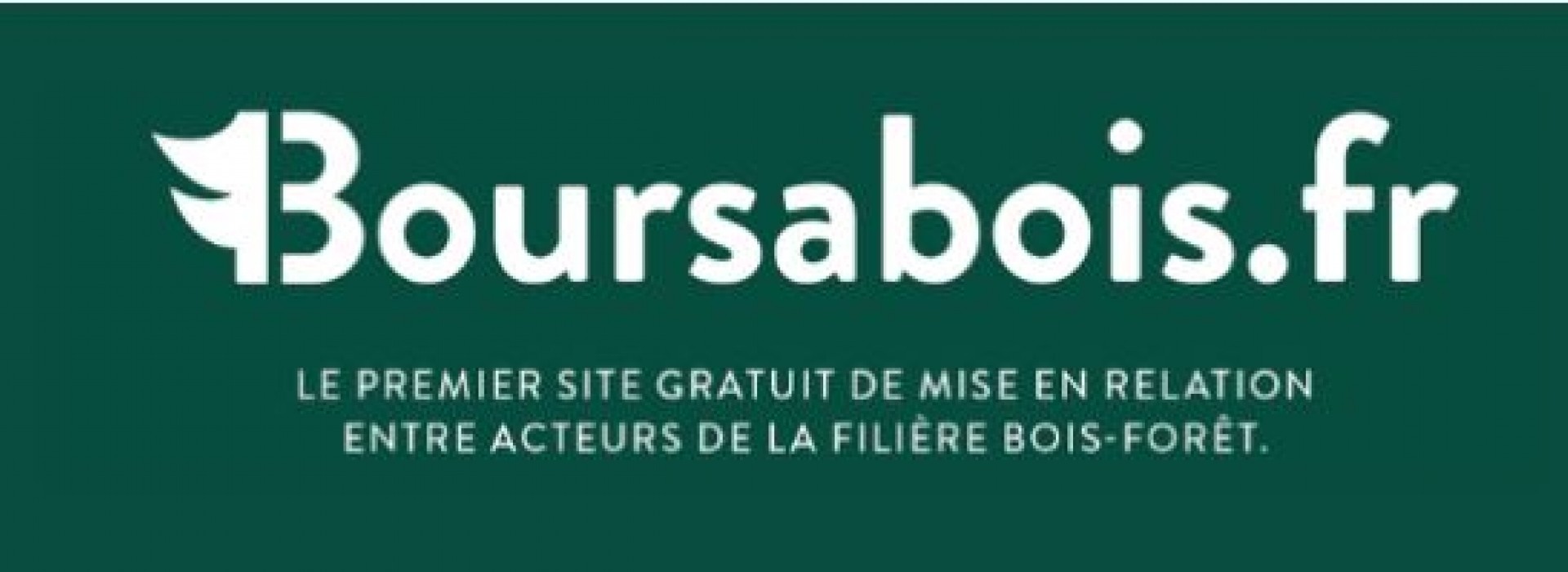 Lancement de Boursabois.fr : plateforme 100% gratuite