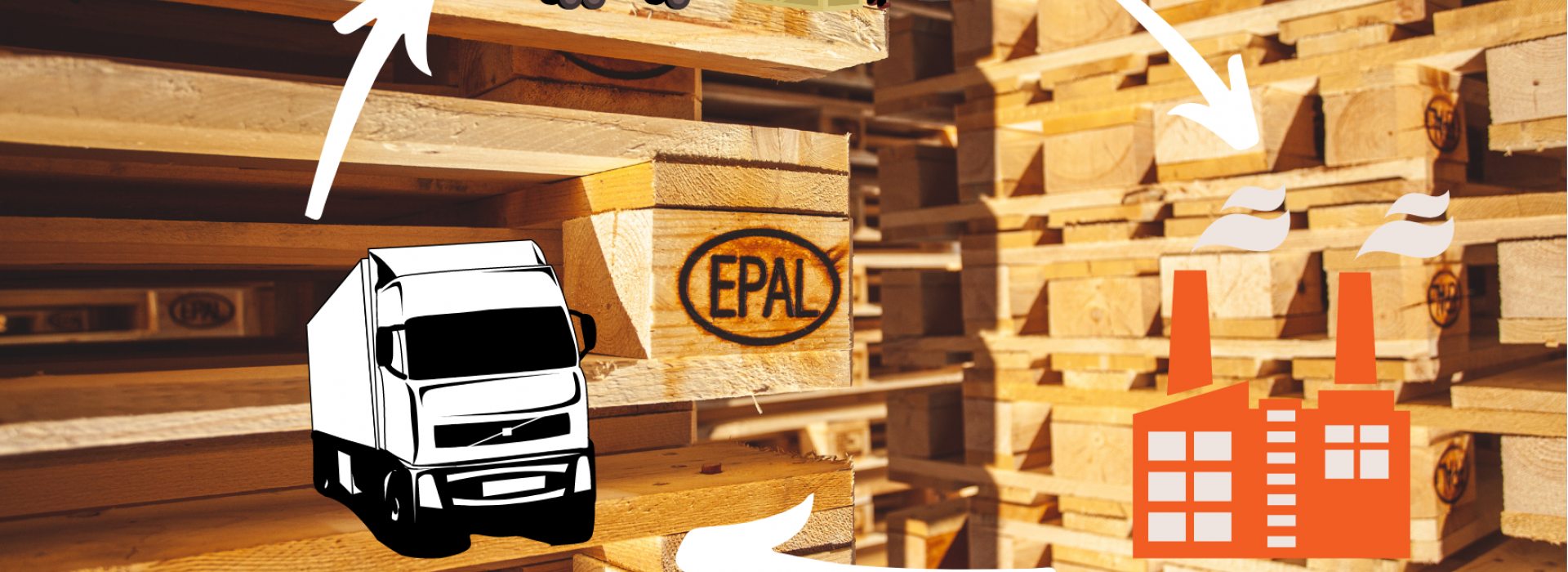 Webinaire dédié aux services logistiques associés à la palette EPAL